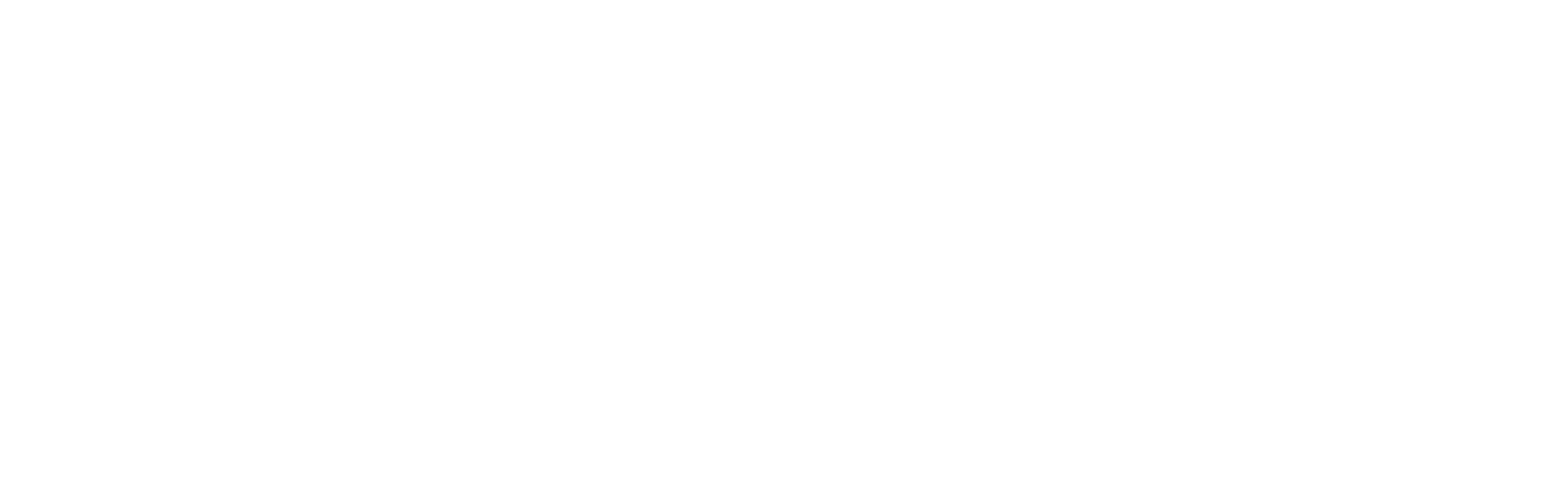 Adler Ortho K.K.
